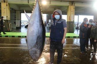南方澳第一鮪現身？200公斤黑鮪明抵港驗明正身