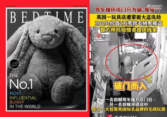 就要Jellycat兔！ 英店家慘遭破門竊盜損失近「80萬」