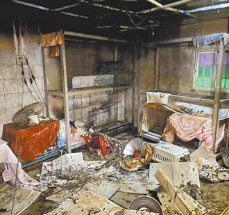 新店動物之家火警 嗆死1貓咪