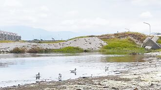 垃圾害候鸟失色 儿童之家净滩