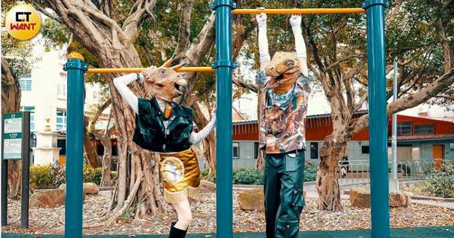 暴龙爱好和平，才能跟三角龙成为朋友，但准备表演的过程很常让两只恐龙大吵。（图／焦正德摄）