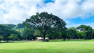 台股崩跌！股民自嘲「睡公園」 史前館PO文：草坪空位歡迎來睡