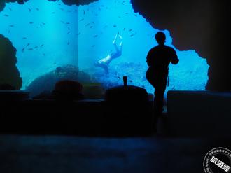 《苦盡柑來遇見你》正火 到濟州來場海女文化體驗