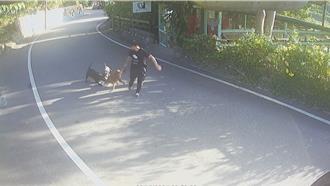 花蓮童遭惡犬咬傷縫16針 飼主拒沒入恐吞30萬怠金