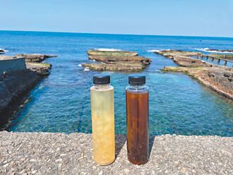 暢遊東北角 品嘗石花菜、貢寮鮑