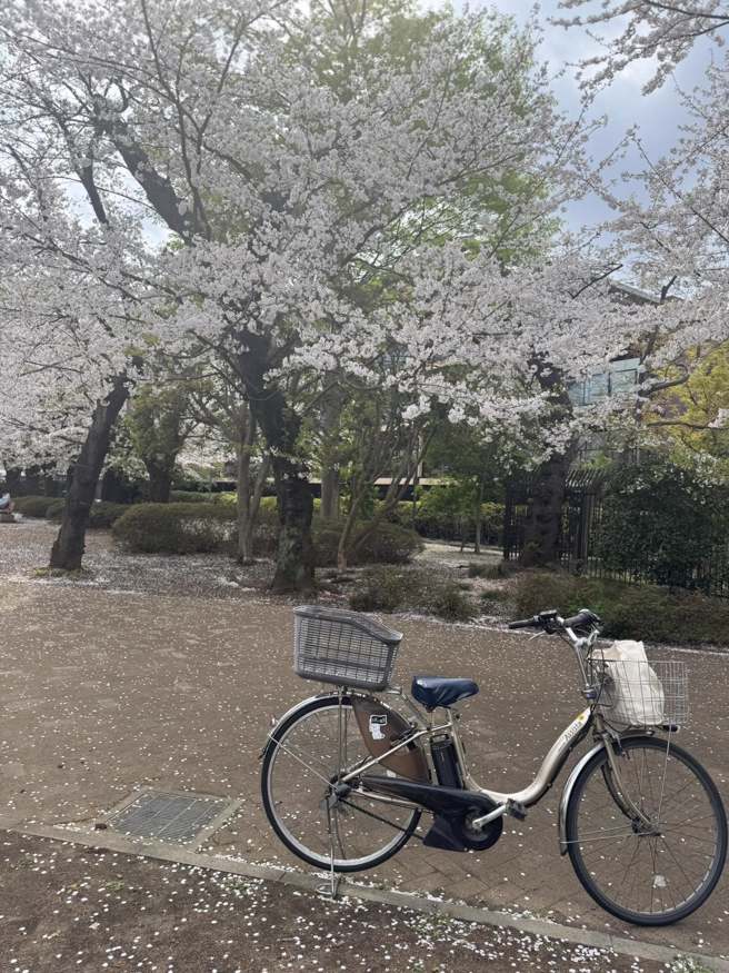 吴淡如飞往日本赏樱。（图／翻摄自吴淡如  脸书）