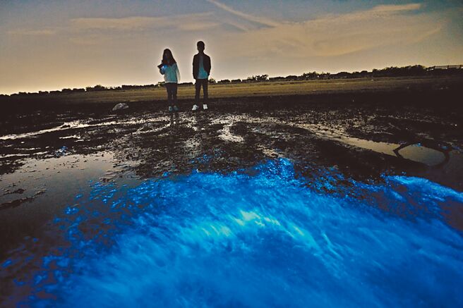 许进西凭着对摄影的兴趣，9年多前开始专研各式照相设备与拍照技巧，透过不断练习与尝试，用镜头记录下最美的金门。图为金门蓝眼泪。（许进西提供／于家麒金门传真）