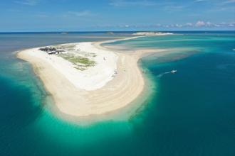 尋訪「天空精靈」澎湖賞鷗季 深度探索自然之美