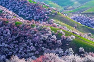 精選春遊目的地！ 人間四月天 跟著美麗中華旅行去