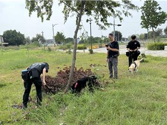 贩毒交易进化「公园埋毒包」传定位 台中警犬找出300万大麻