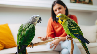 渣男偷吃遭宠物鹦鹉出卖 英女返家惊见「这一幕」