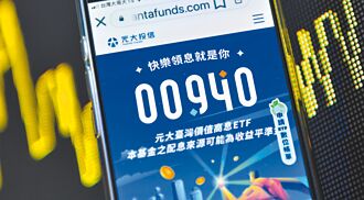 20年罕見 台股ETF團滅跌停鎖死