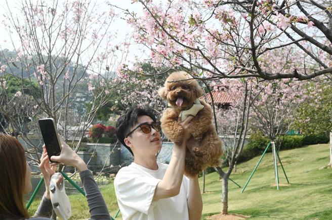 大陆铁路部门8日起打算在京沪高铁部分车次试办「高铁宠物托运」服务。图为示意图。（摘自中新社）