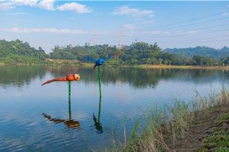 高市砸9千萬升級觀音湖 打造螢火蟲友善棲地