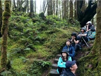 宜蘭森林解憂一日遊 聆聽大自然的天籟之音