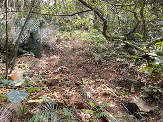 基隆槓子寮炮台步道毁損破敗 議員籲市府加速改善