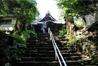 抹茶市场爆炸性成长 产量难支撑国际需求