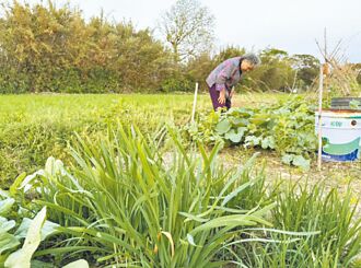 竹縣老農補助 8436名農友受惠