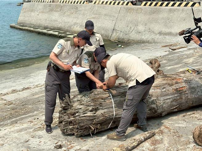 漂流木跨区联合演练，林保屏东分署人员辨识注记漂流木。（林保屏东分署提供／罗琦文屏东传真）