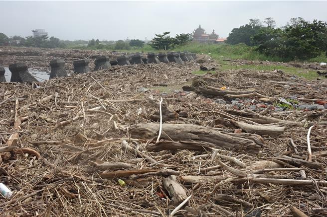 去年连续颱风冲积漂流木，堆满高屏溪口到东港海岸。（本报资料画面／罗琦文屏东传真）