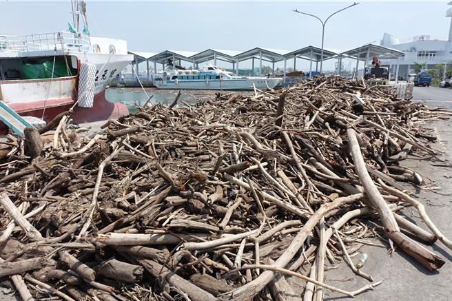 去年连续颱风冲积漂流木，堆满高屏溪口到东港海岸。（本报资料画面／罗琦文屏东传真）