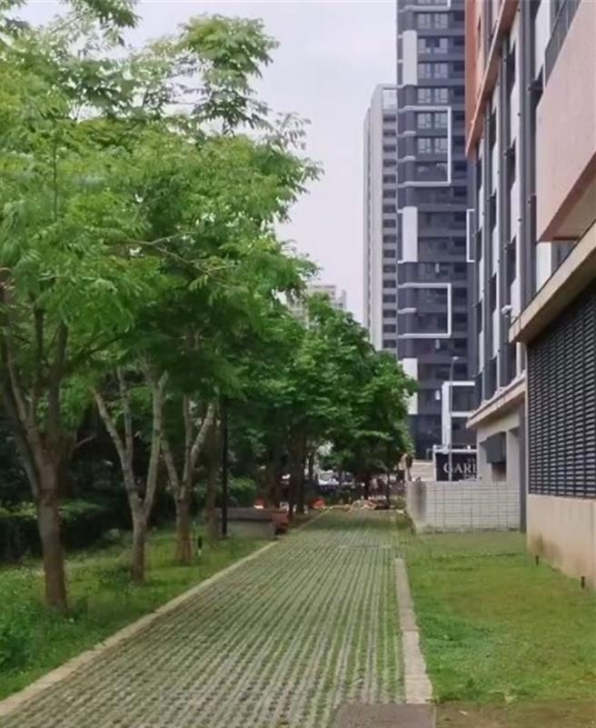 新店央北社宅住户乱扔杂物，遭警方强制送医。（民眾提供）