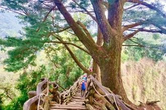 台中大坑眺景秘境開箱 4月到大坑5號步道感受雲霧繚繞風情