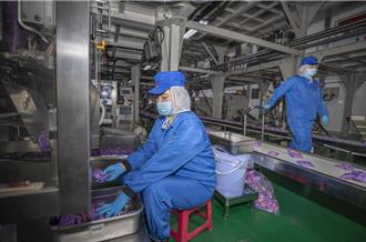 市場回暖 陸中小企業發展指數創5年新高