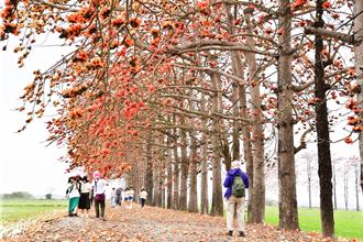 木棉花火紅身影近尾聲 二林連5年舉辦今停辦原因曝