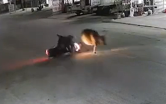 離奇車禍！越南騎士猛撞倒地不起 活體「藍寶堅尼」反應曝光