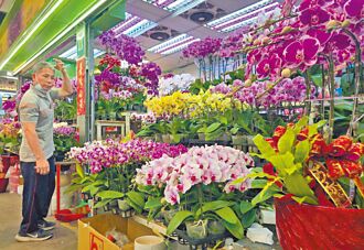 蘭花農喊組國家隊 布局低關稅國