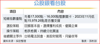 公股銀看台股 萬七最關鍵