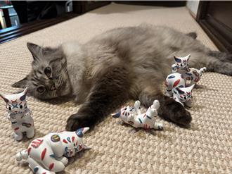 巷仔Niau公仔盲盒重複免驚！「交換平台」地點曝 粉絲夢想成真