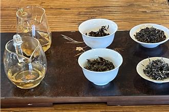 泡茶也能很時尚！苗栗青農推新品白茶 顛覆年輕人對茶的想像