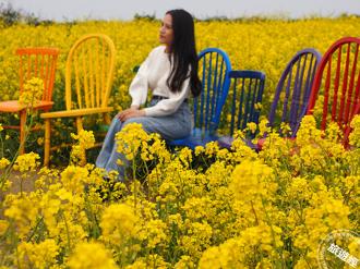 韓劇引爆台灣人遊韓熱潮 水原、濟州島成熱門旅遊目的地