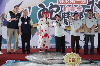 屏東第一鮪拍賣價逾230萬 黑鮪魚季開幕嗨翻港邊