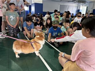 柯基犬「阿桃」進校園學生瘋狂 國際寵物日強化動保教育