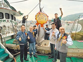 宜兰 关税风暴 全国第一鲔拍价腰斩