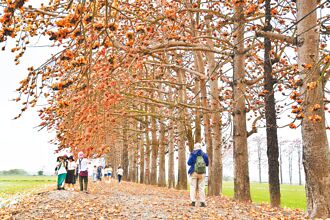 二林木棉花季取消 鎮長：非關火化場