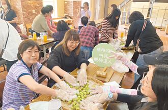 高雄梅子豐收價揚 農民樂開懷