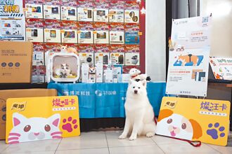 燦坤會員特典 好康龍吼哩