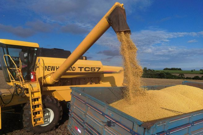 大豆是当前中国对美关税报復下最令美国农民担忧的行业之一。2018年美中贸易战时期，几乎所有对中国额外课徵的关税都拿来补贴种植黄豆亏损的美国农民。（图／路透）