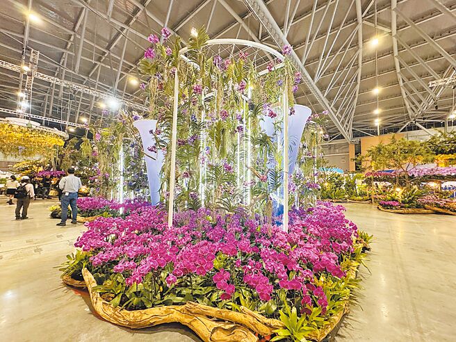 台湾兰花产销发展协会秘书长曾俊弼表示，关税危机仍未解除，趁此机会也正好检视产业体质，提出有规画的全球布局策略，才能打断手骨颠倒勇。（曹婷婷摄）