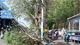 大陸「五問極端大風」：為何如此強勁？還將刮多久？