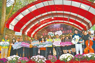 彰化 花開不到1成 桐花祭仍將登場