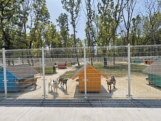 仁德毛孩森活村偏僻 认养率不彰