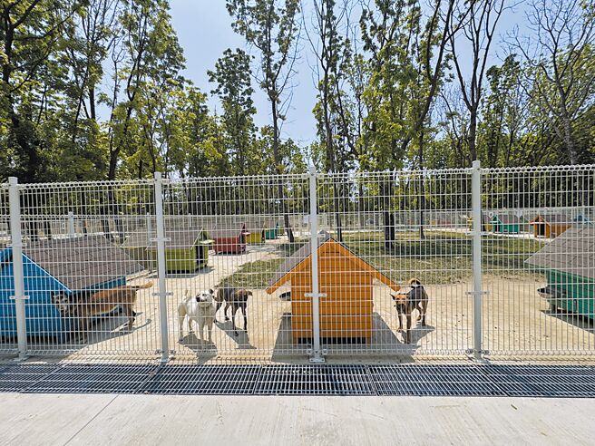 台南率先全國於仁德建置首座遊蕩犬暫置區「毛孩森活村」，營造有別於傳統收容所的氛圍，盼能提高認養率。（曹婷婷攝）