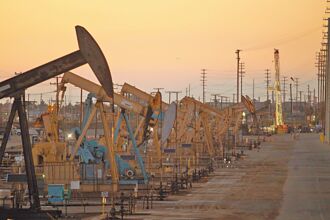 台美談判 在野批太快亮底牌