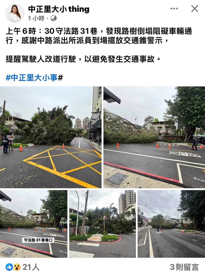 桃园区中正里里长贴文感谢桃园分局员警协助管制交通，让权责单位迅速移除路树。