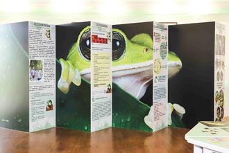 瀕危物種數量不斷減少 31人小校成立諸羅樹蛙生態教育館